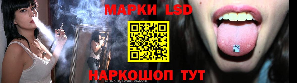 МЕФ Обнинск
