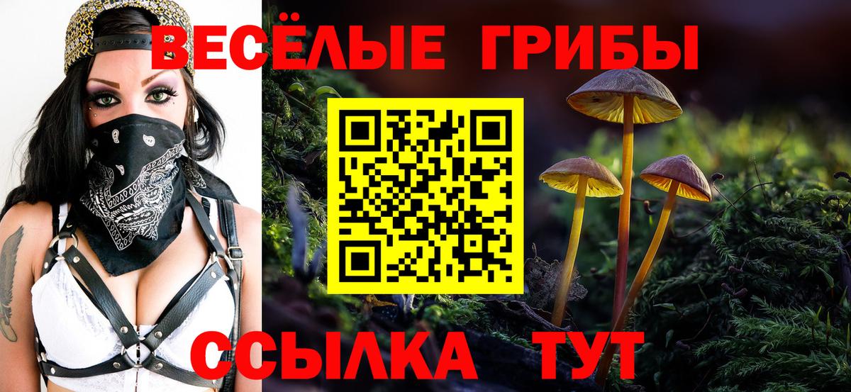 Обнинск  Галлюциногенные грибы мицелий  Псилоцибиновые грибы ЛСД  Вход с VPN 