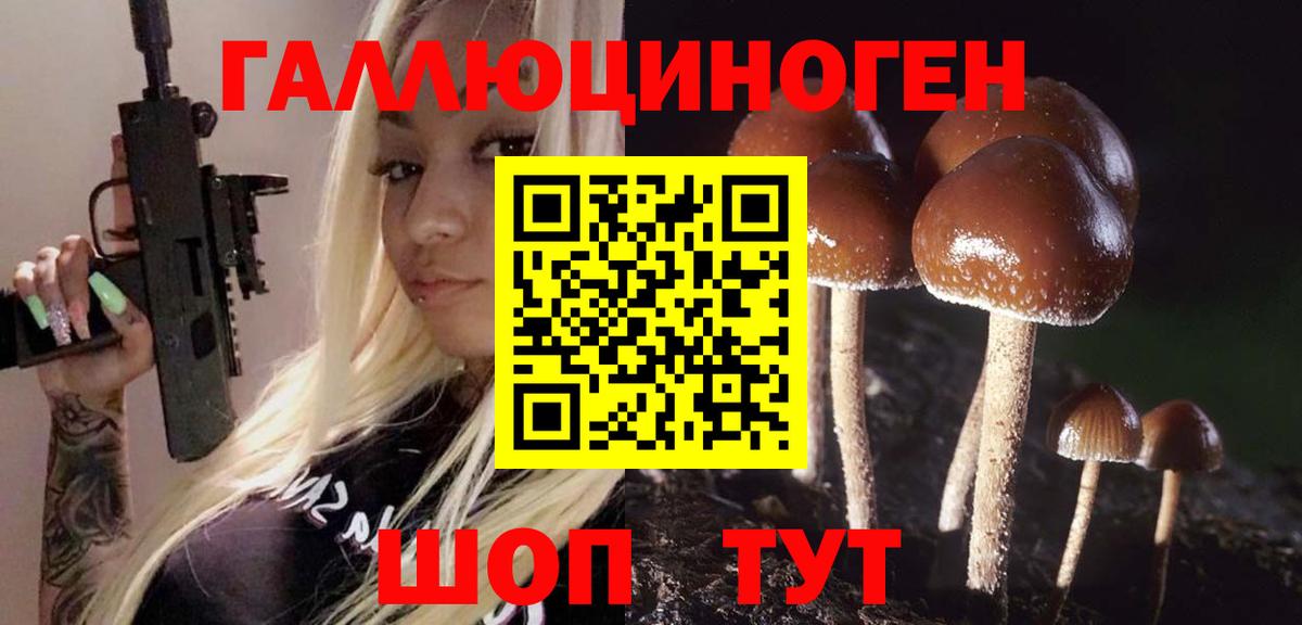 Псилоцибиновые грибы GOLDEN TEACHER Обнинск